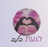 שורי פסוג